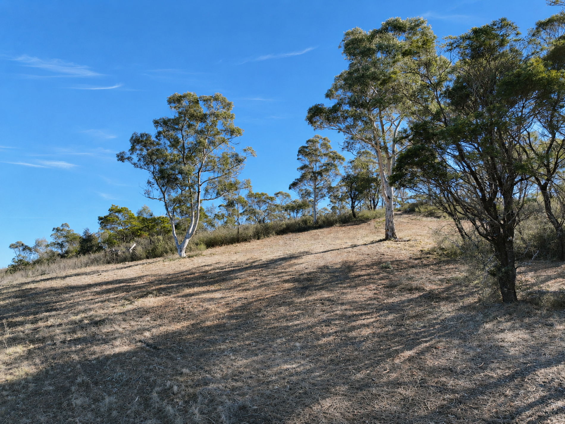 Lot 1 / 14 Ningee Nimbell Creek Road, Tomboye