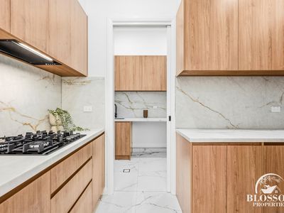 8 Planthopper Street, Marsden Park