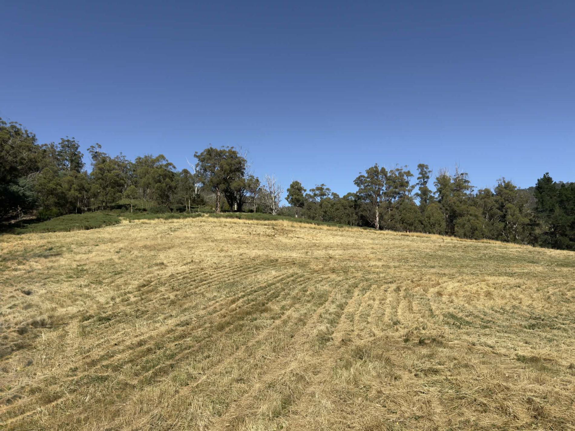 Lot 2, Direens Road, Lymington