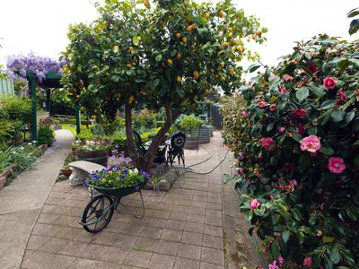 165 High Street, Seymour