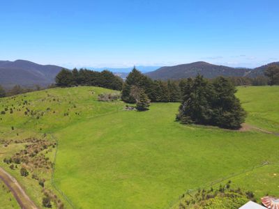 Lot 1 (51 Acres) Coal Mine Road, Kaoota