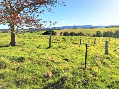 98 Wilfords Lane, Milton