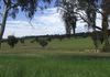 48 Lower Lewis Ponds Road, Orange