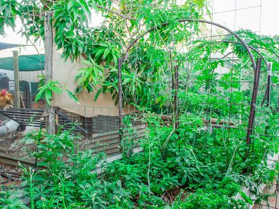 23 Acacia Way, South Hedland