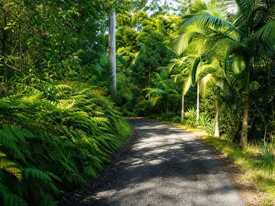 1 / 4  Wallaby Road, Nimbin