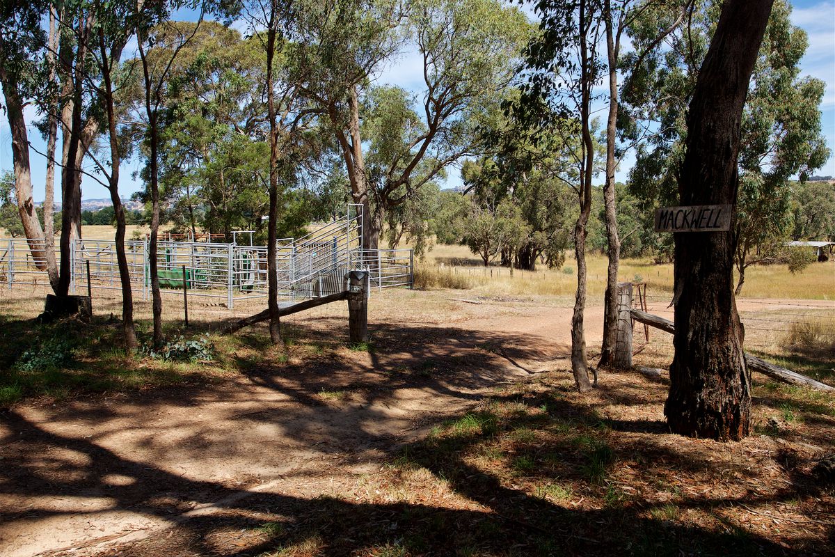 2932 Merton Euroa Road, Merton