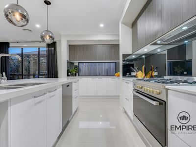 42 Hollywell Road, Clyde North