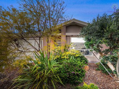 3 Rodeo Grove, Point Cook