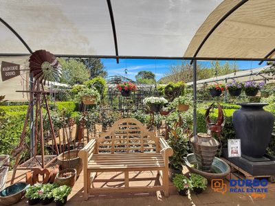 Magnolia Nursery