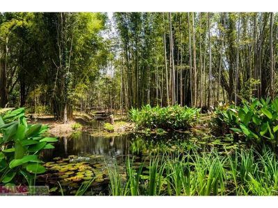 47 Killawarra Road, Lake Macdonald