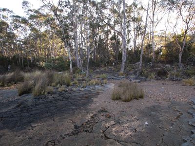 Lot 1, 466 Abels Bay Road, Abels Bay