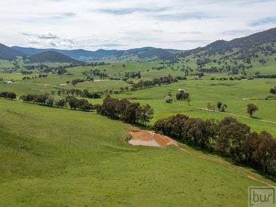 275 Soldier Settlers Road, Tallangatta Valley