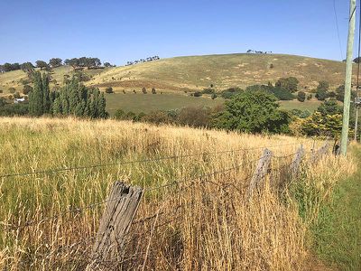 7 Rodd Street, Carcoar