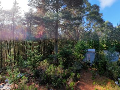 Lot 1, 2 & 3, Swamp Road, Franklin