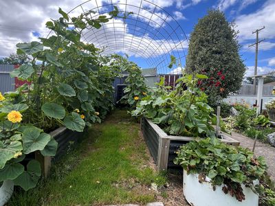 54 Chaucer Street, Milton