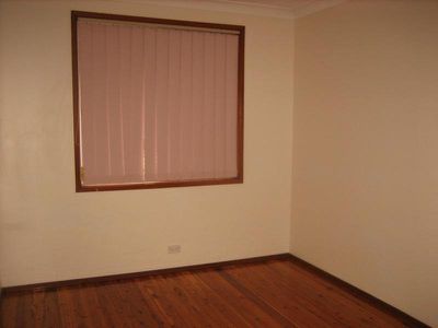 Mount Warrigal