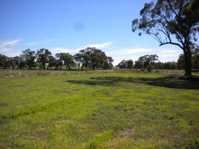 Gonn Road, Barham