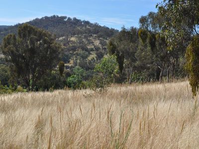 5 Love Lane, Splitters Creek