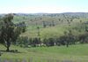 * Canowindra, Orange