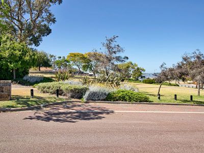 5 Diamondbird  , Baldivis