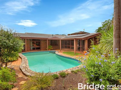 16 John Cleland Drive, Beaumont