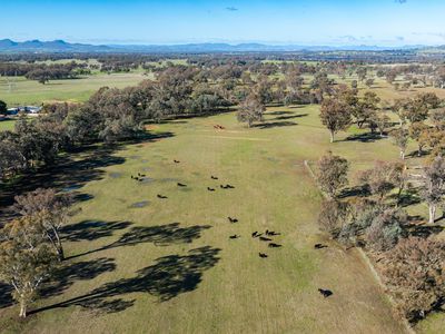 'Willowbank' Urana Road, Jindera
