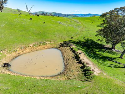 591 Murray Valley Highway, Tallangatta