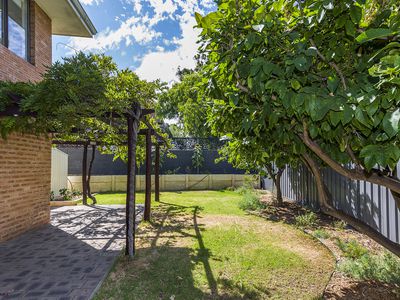 12 / 44 Tenth Avenue, Maylands