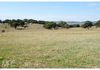 Lot 100 Emu Swamp Road, Orange