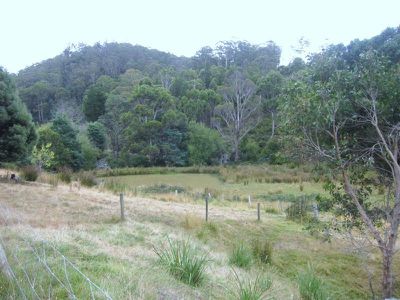 255 Fourteen Turn Creek Road, Grove