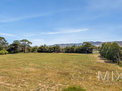 236 Tea Tree Road, Brighton