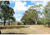 86 Frewin Road, Orange