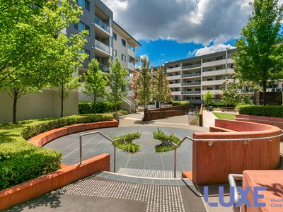 242 / 36 Philip Hodgins Street, Wright