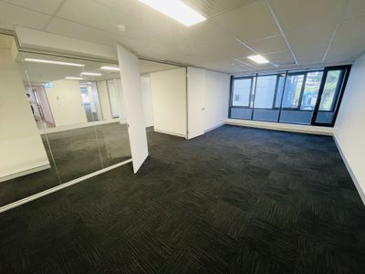 101 / 29 Elkhorn Avenue, Surfers Paradise