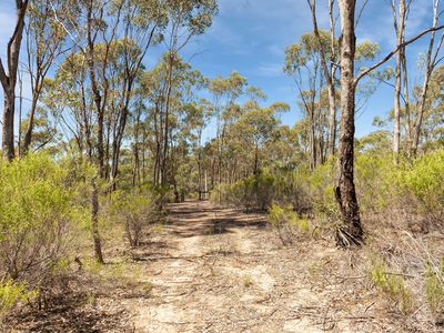 Lot 40 Hakea Court, Heathcote