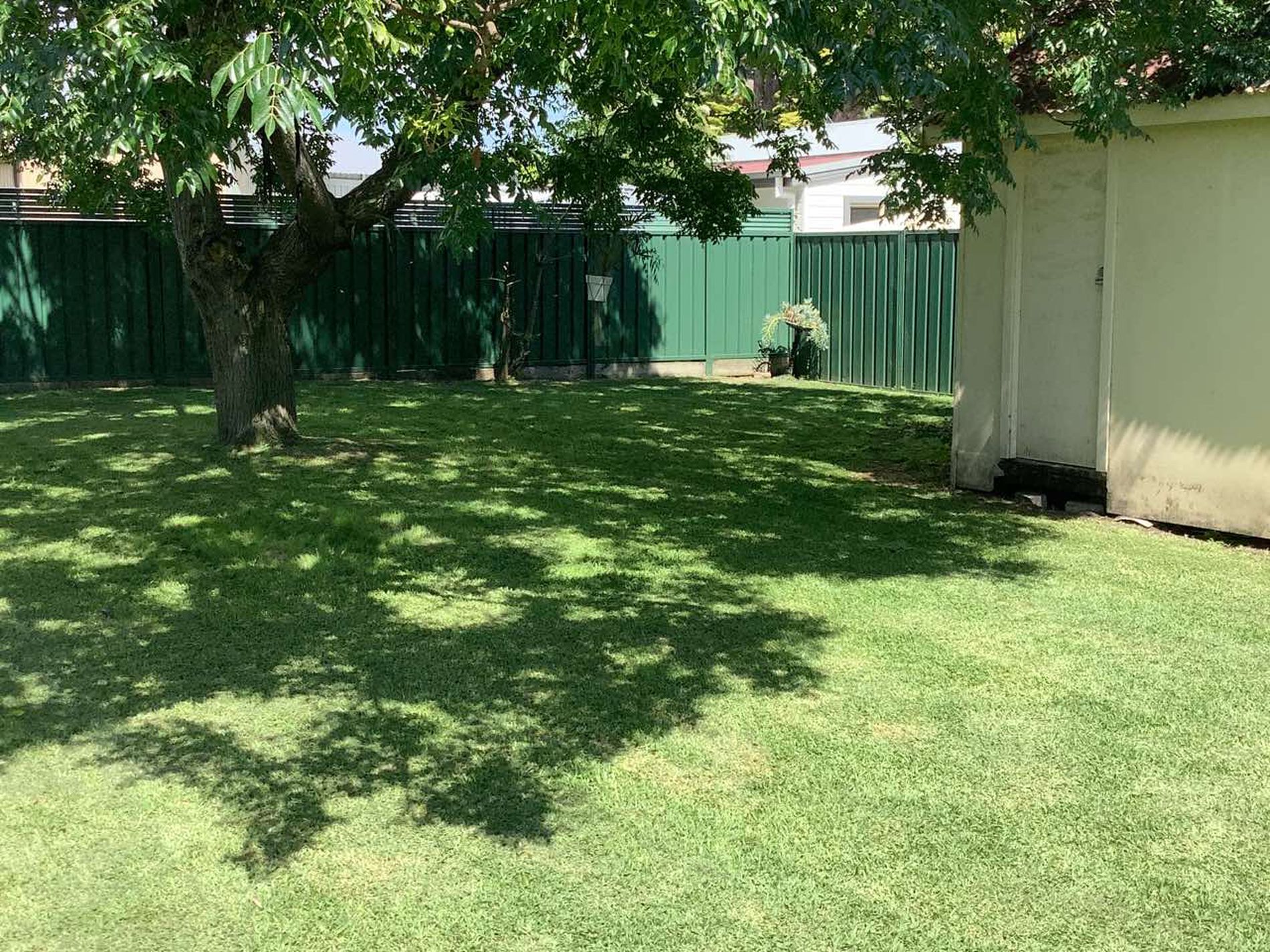 11 Thistleton Drive, Burrill Lake