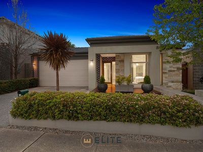 12 Percheron Way, Clyde North