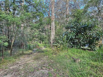 Lot 8, Pelican Road, St Georges Basin