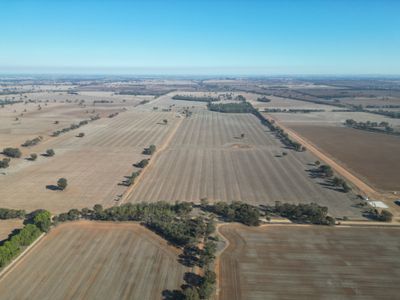 1501 Howlong-Goombargana Road, Brocklesby