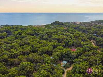 Lot 16, 621 Lake Preston Road, Myalup