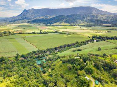 390 Woopen Creek Road, Babinda