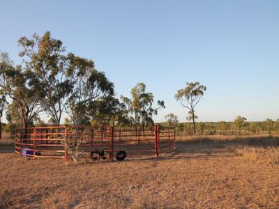900 Acaciavale Road, Breddan