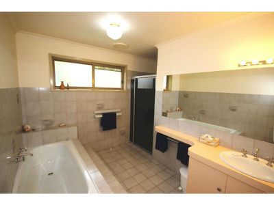 14 Andrea Street, Eden