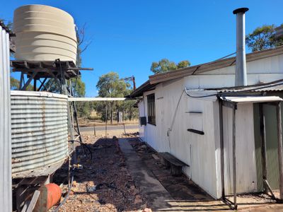 26 CRYSTAL STREET, Willows