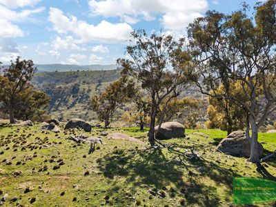728 The Bridle Track, Duramana