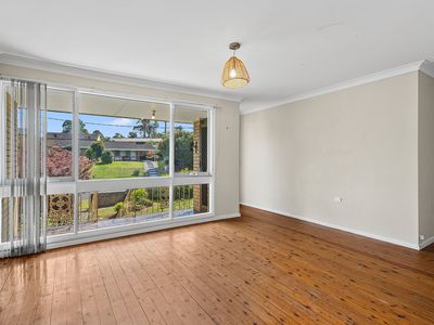 59 Morgan Avenue, Mount Warrigal