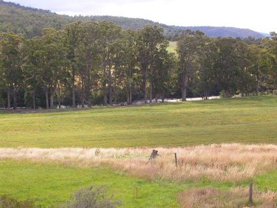 826 Glen Huon Road, Glen Huon