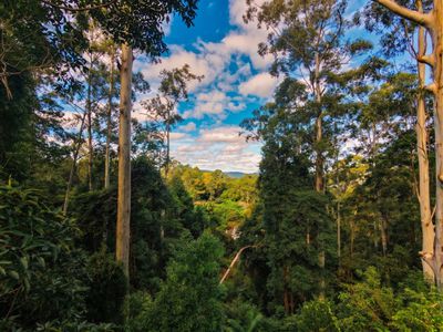 1 / 4  Wallaby Road, Nimbin