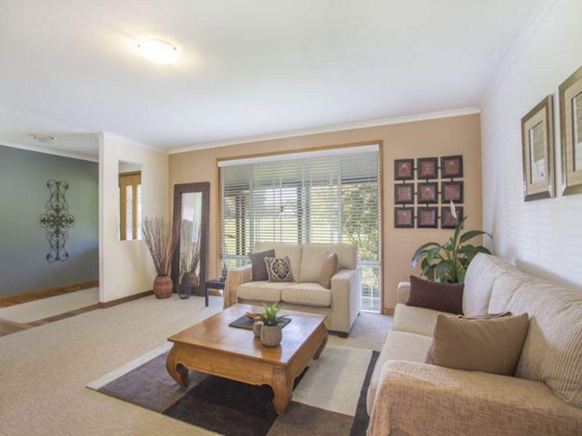 14 Sanderling Place, Bawley Point