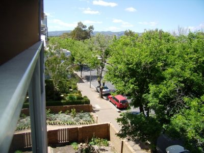 3B / 100 South Terrace, Adelaide